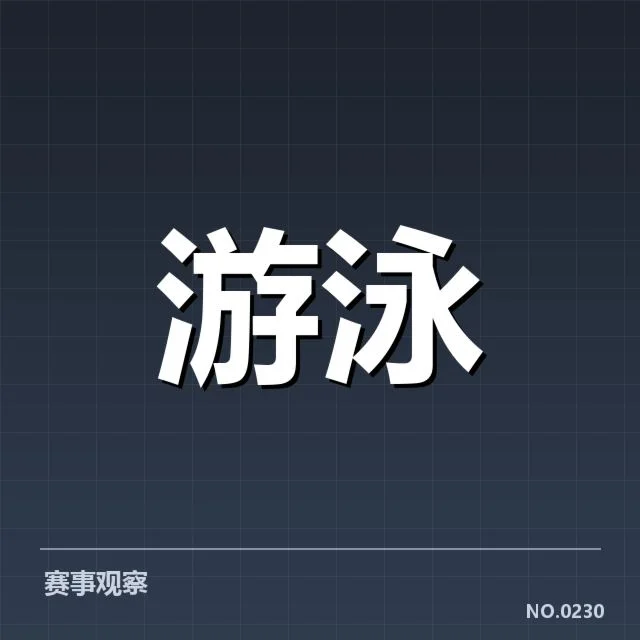 2024年男子蛙泳锦标赛:顶尖选手技术细节解析